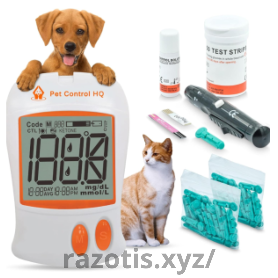 Pet Diagnostic Tools